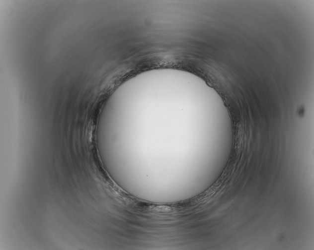 X0000089670230200706210800