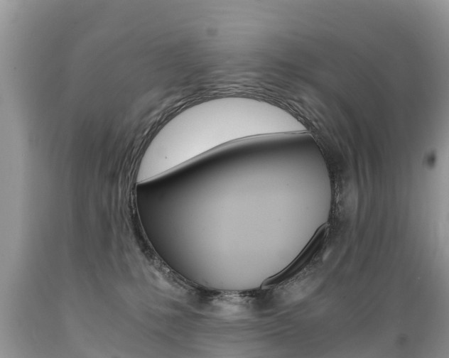 X0000089670231200706210800