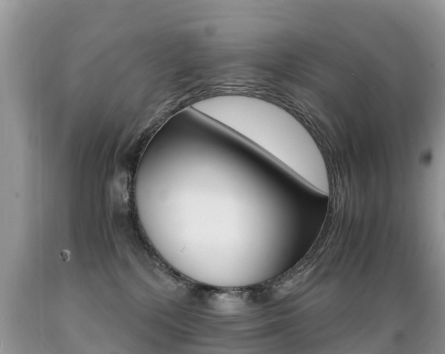 X0000089670232200706210800