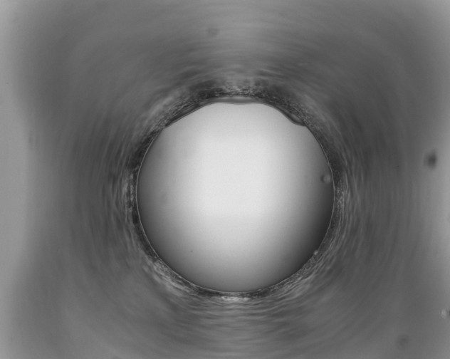 X0000089670233200706210800