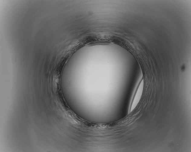X0000089670235200706210800