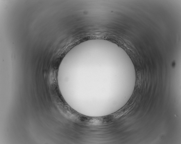 X0000089670236200706210800