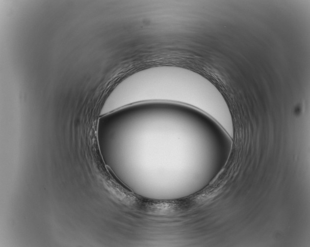 X0000089670237200706210800