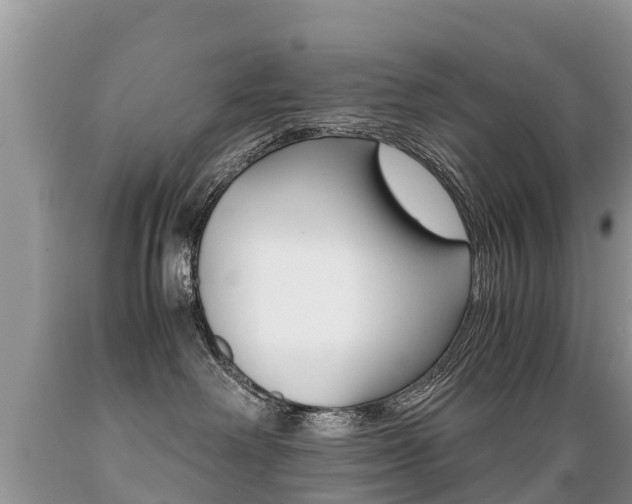 X0000089670238200706210800