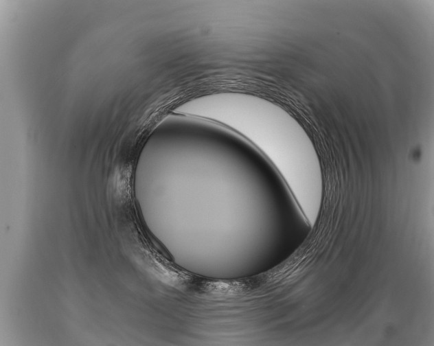 X0000089670239200706210800