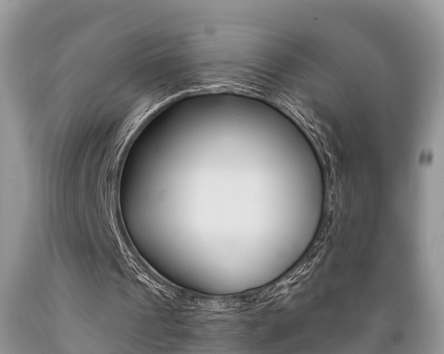 X0000089670241200706210759