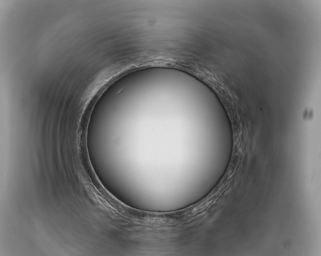 X0000089670242200706210759