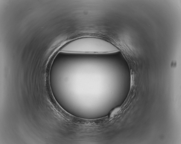 X0000089670243200706210759