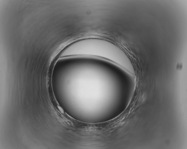 X0000089670244200706210759