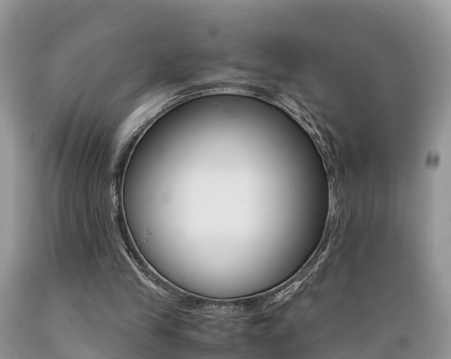 X0000089670245200706210759