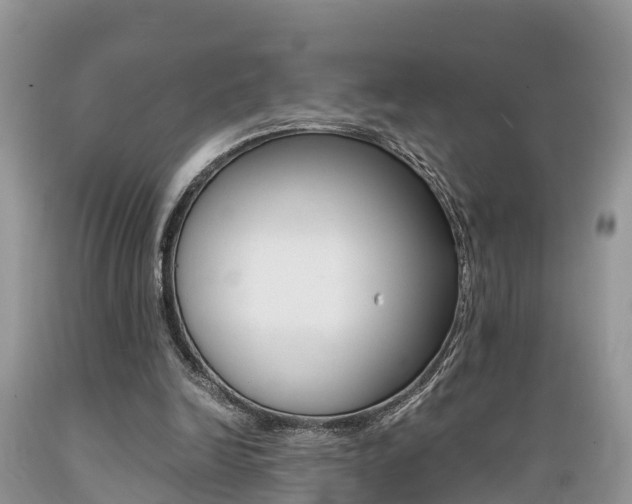 X0000089670246200706210759