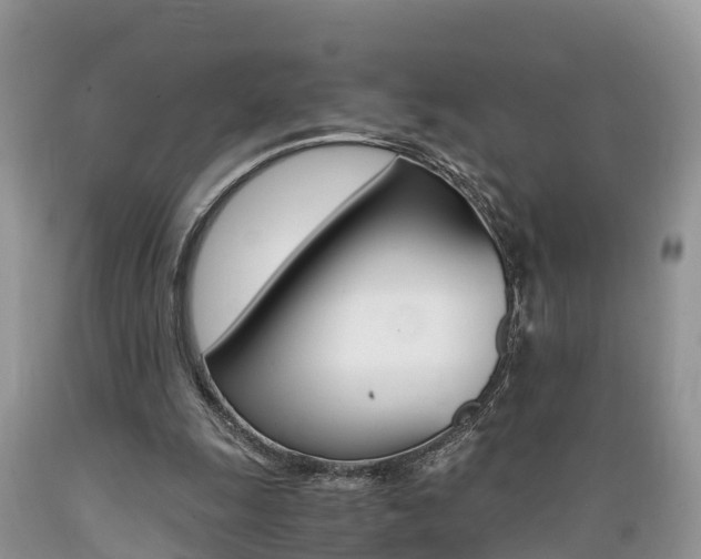 X0000089670247200706210759