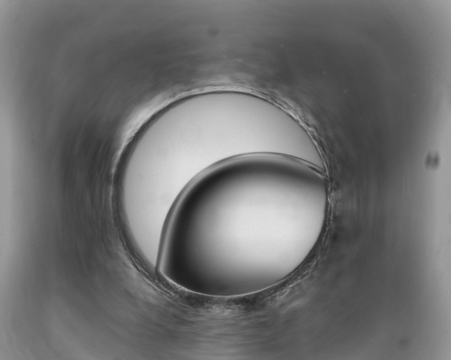 X0000089670248200706210759