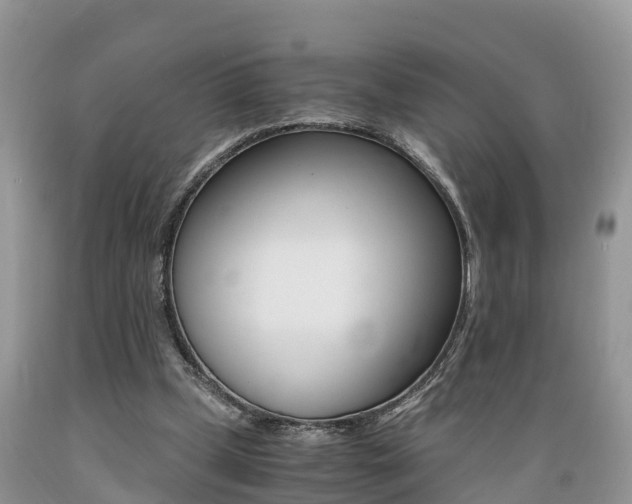 X0000089670249200706210759