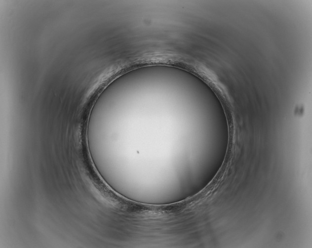 X0000089670250200706210759