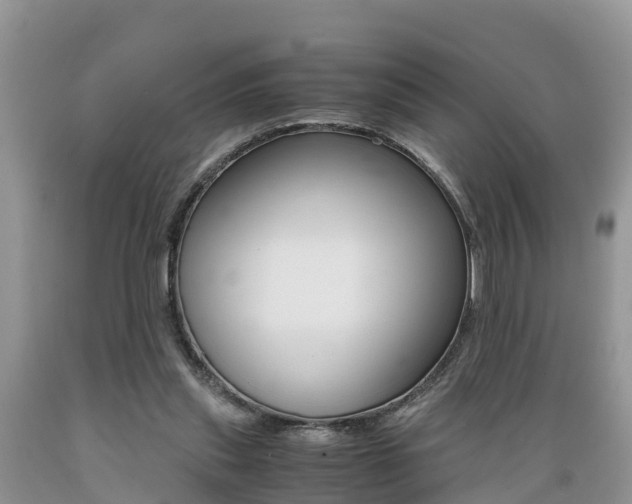 X0000089670253200706210759
