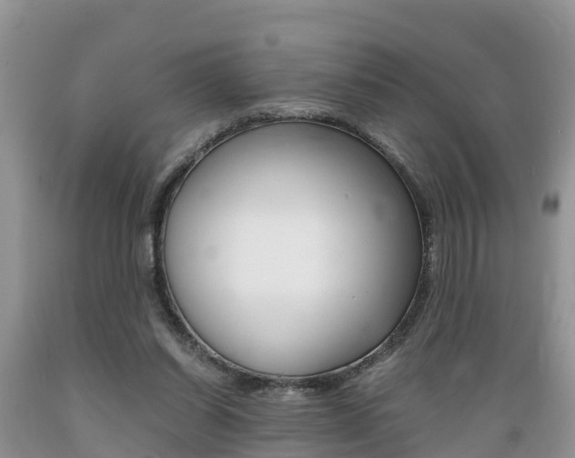 X0000089670254200706210759
