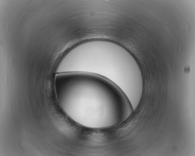 X0000089670256200706210759