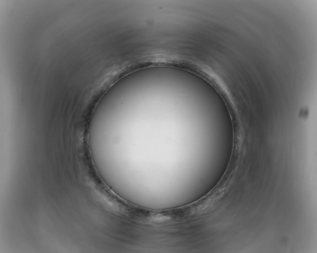 X0000089670257200706210759