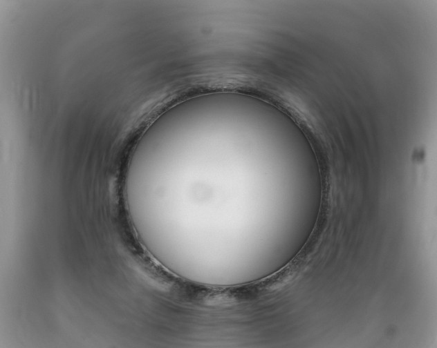 X0000089670258200706210759