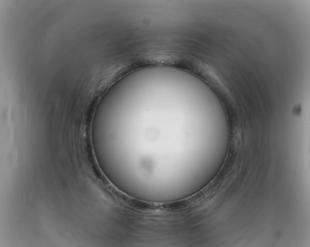 X0000089670259200706210759