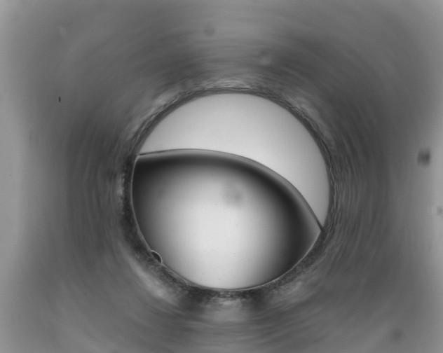 X0000089670260200706210759
