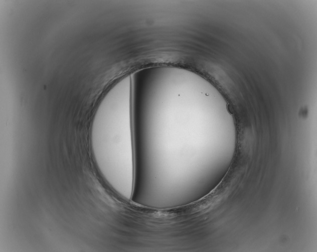 X0000089670261200706210759