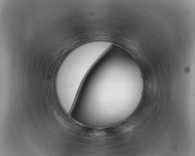 X0000089670263200706210759
