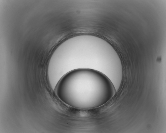 X0000089670264200706210759