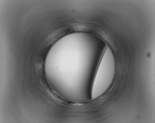 X0000089670265200706210759