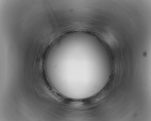 X0000089670266200706210759