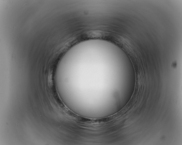 X0000089670267200706210759