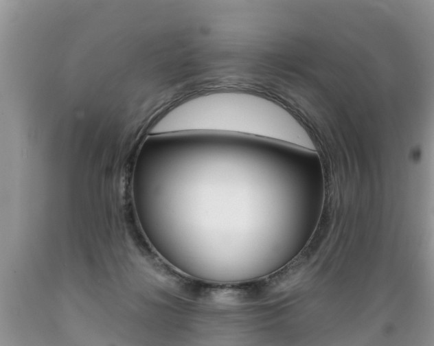 X0000089670268200706210759