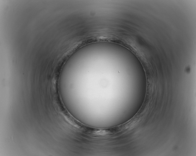X0000089670269200706210759