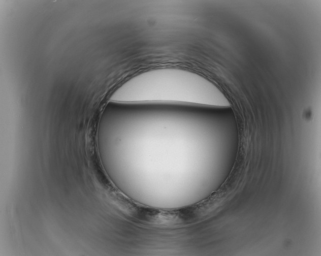 X0000089670270200706210759