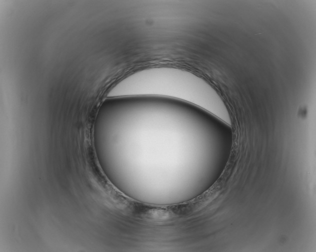 X0000089670272200706210759