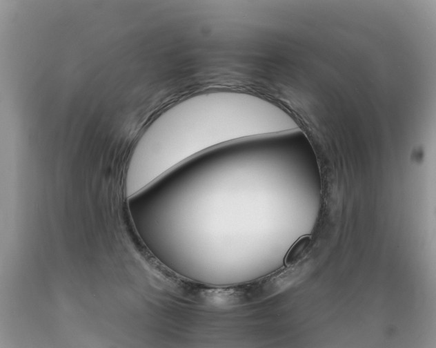 X0000089670273200706210759