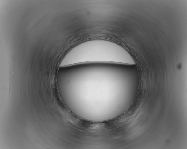 X0000089670274200706210759