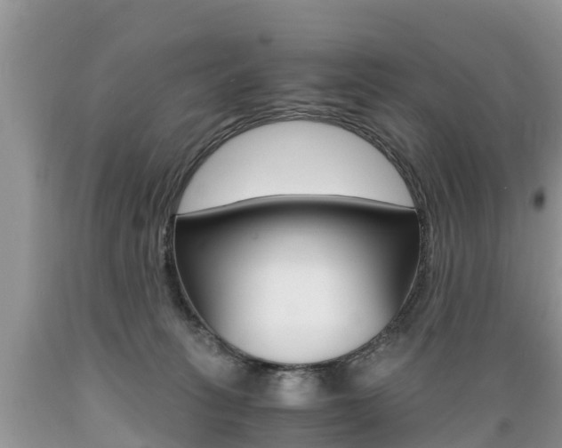 X0000089670275200706210759