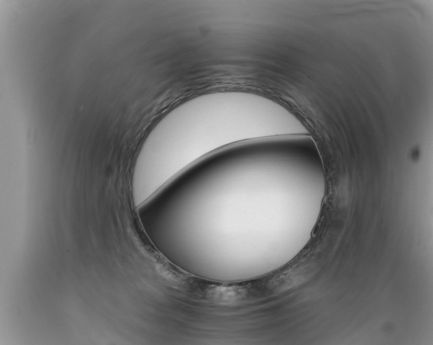 X0000089670277200706210759