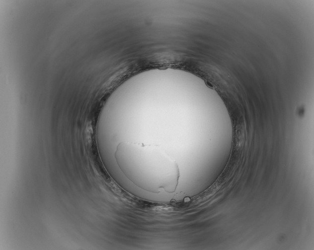 X0000089670279200706210800