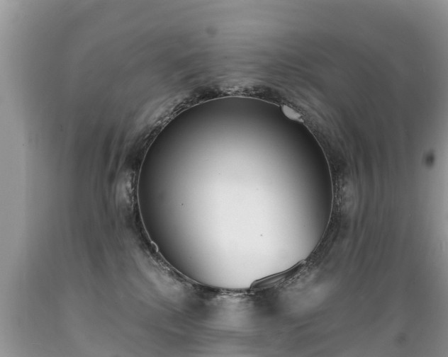 X0000089670280200706210800