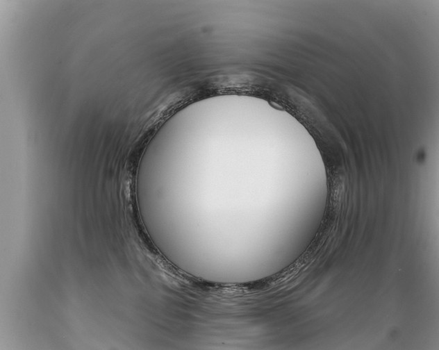 X0000089670282200706210800