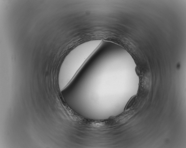 X0000089670283200706210800