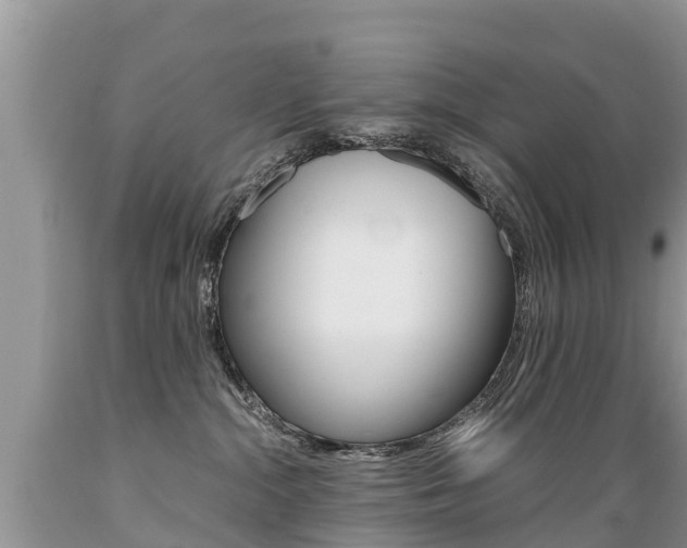 X0000089670284200706210800