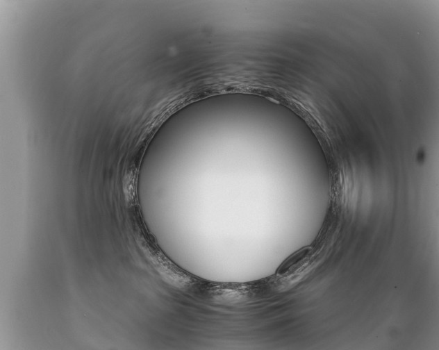 X0000089670285200706210800