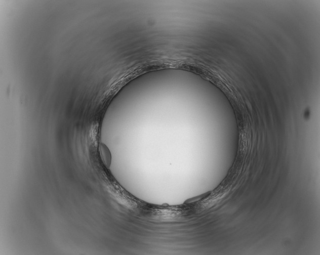 X0000089670286200706210800