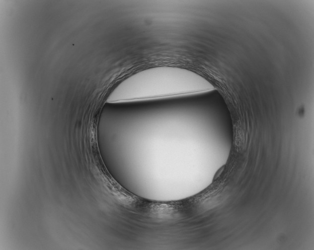 X0000089670287200706210800