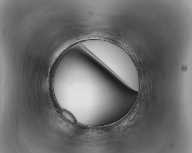 X0000089670292200706210759