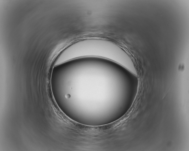 X0000089670293200706210759